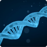Czerniak, postać rodzinna. Analiza przesiewowa  sekwencji kodującej genów CDKN2A, CDK4, POT1, PTCH1, TERT w kierunku predyspozycji do rozwoju nowotworów skóry, met. NGS