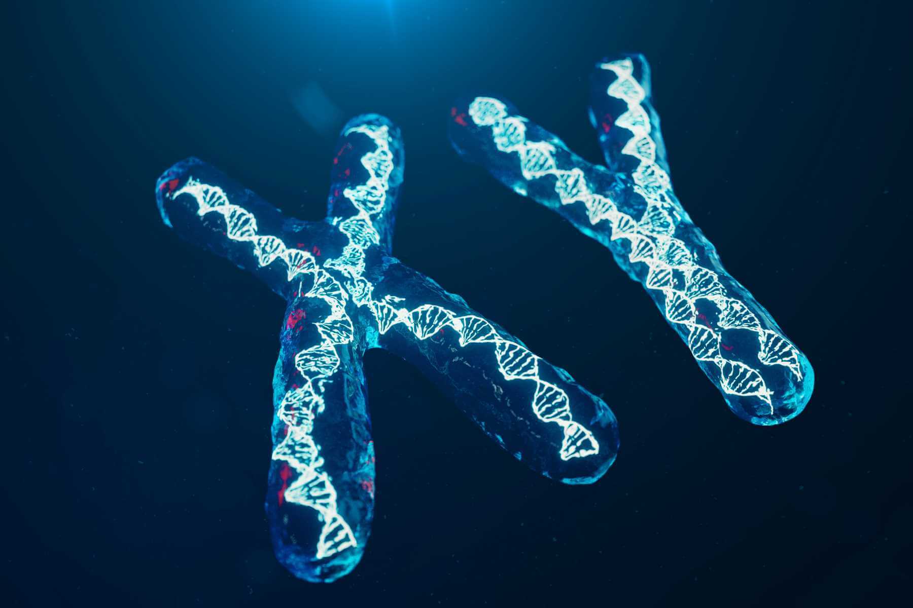 Czym jest aberracja chromosomowa i jakie mogą być jej skutki?